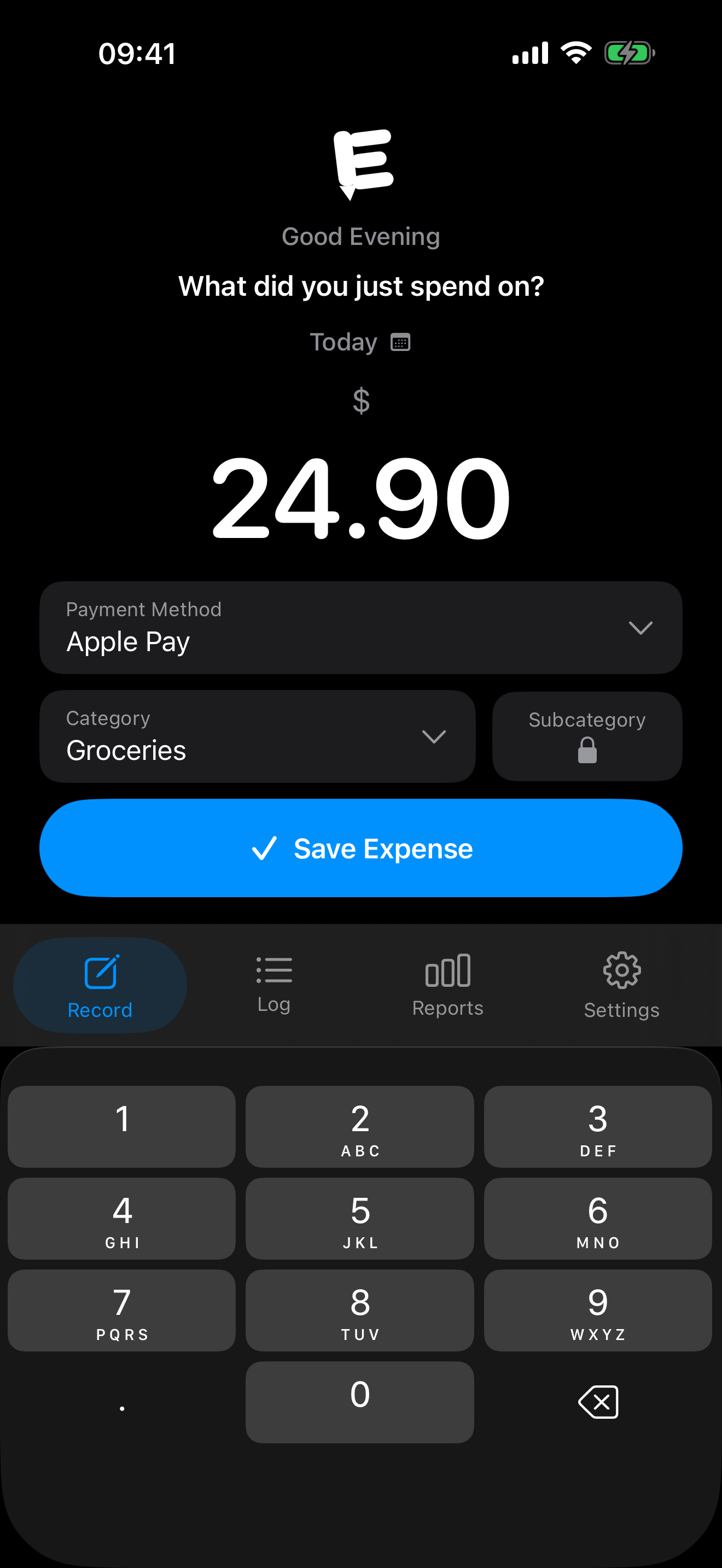 Recording an expense in E in dark mode